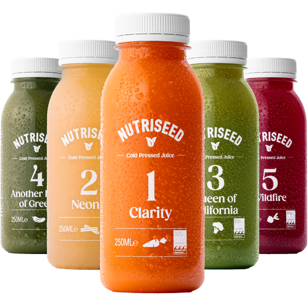 Juice Cleanse Day Cold Pressed Detox Diet Drinks 15 Juices