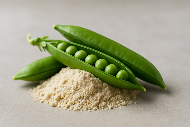 80% Dairy-Free Protein